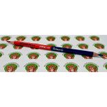 Postairon vékony, háromszögletű, piros-kék Pelikán